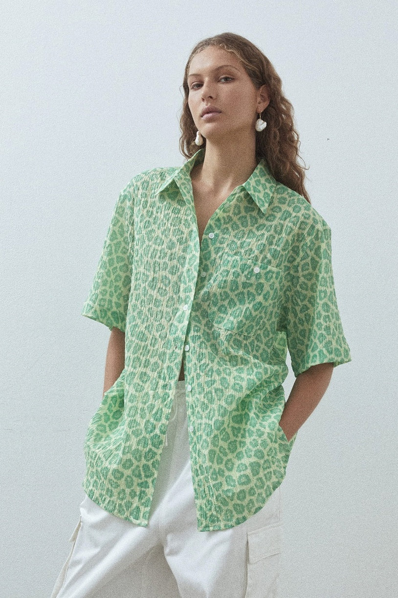BLANCA Womens Carol Shirt Green