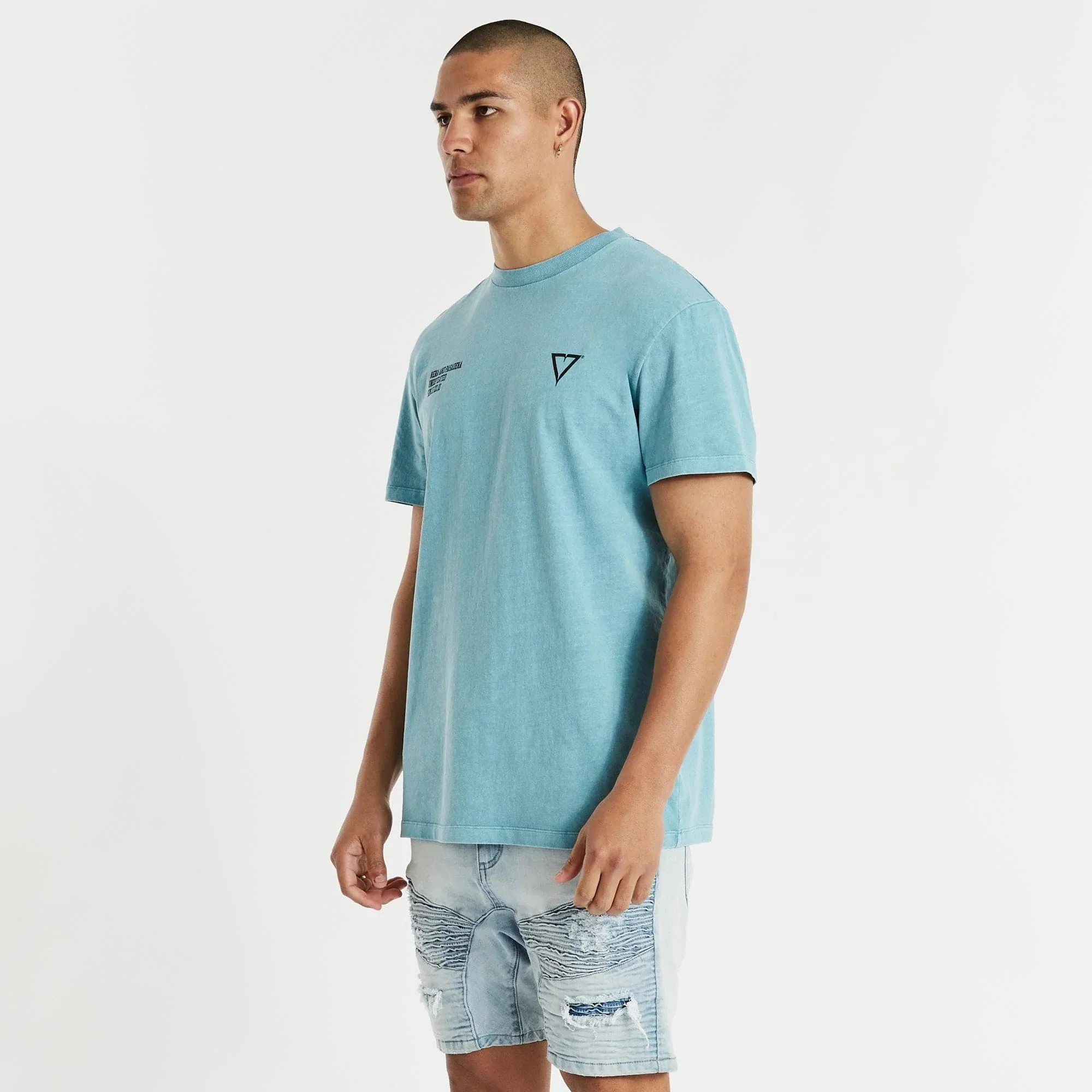 NENA & PASADENA Mens Mansion Relaxed Tee Shirt Pigment Cameo - Image 6
