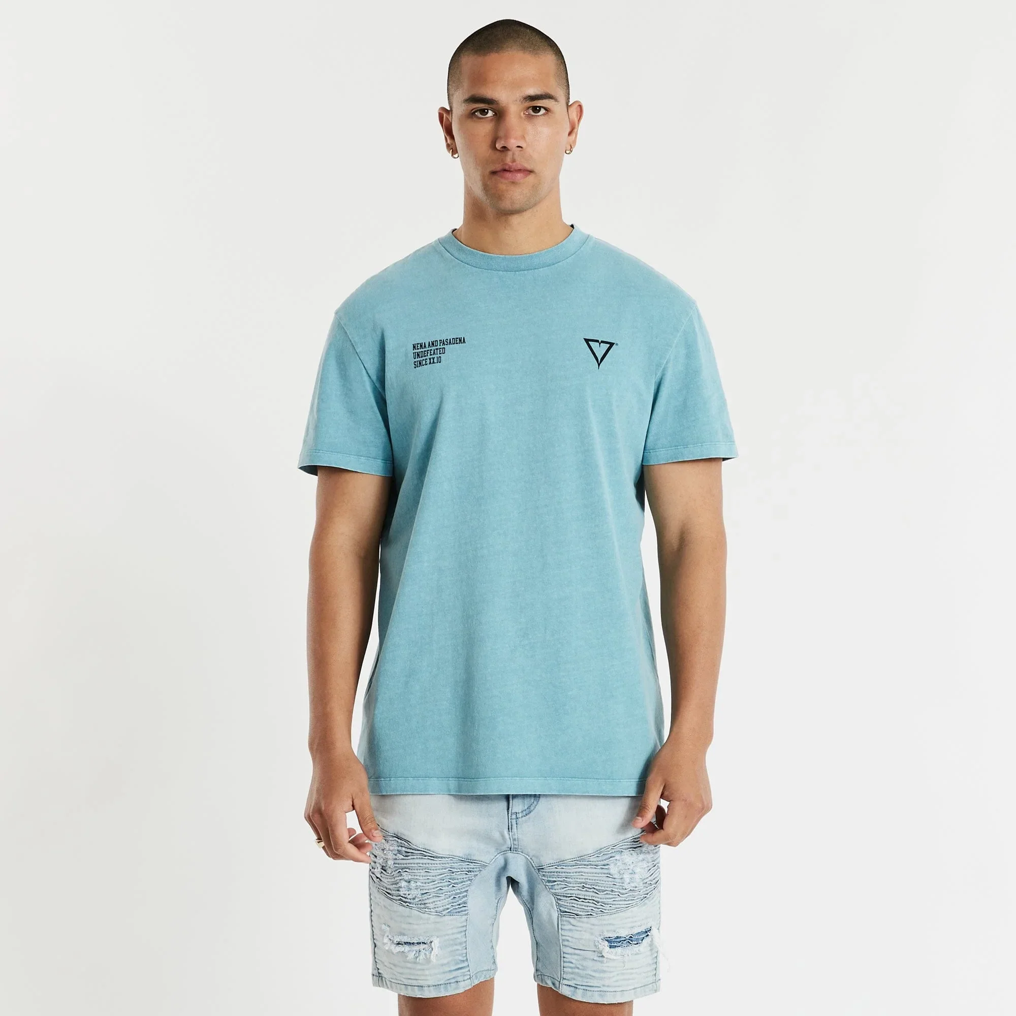 NENA & PASADENA Mens Mansion Relaxed Tee Shirt Pigment Cameo - Image 8