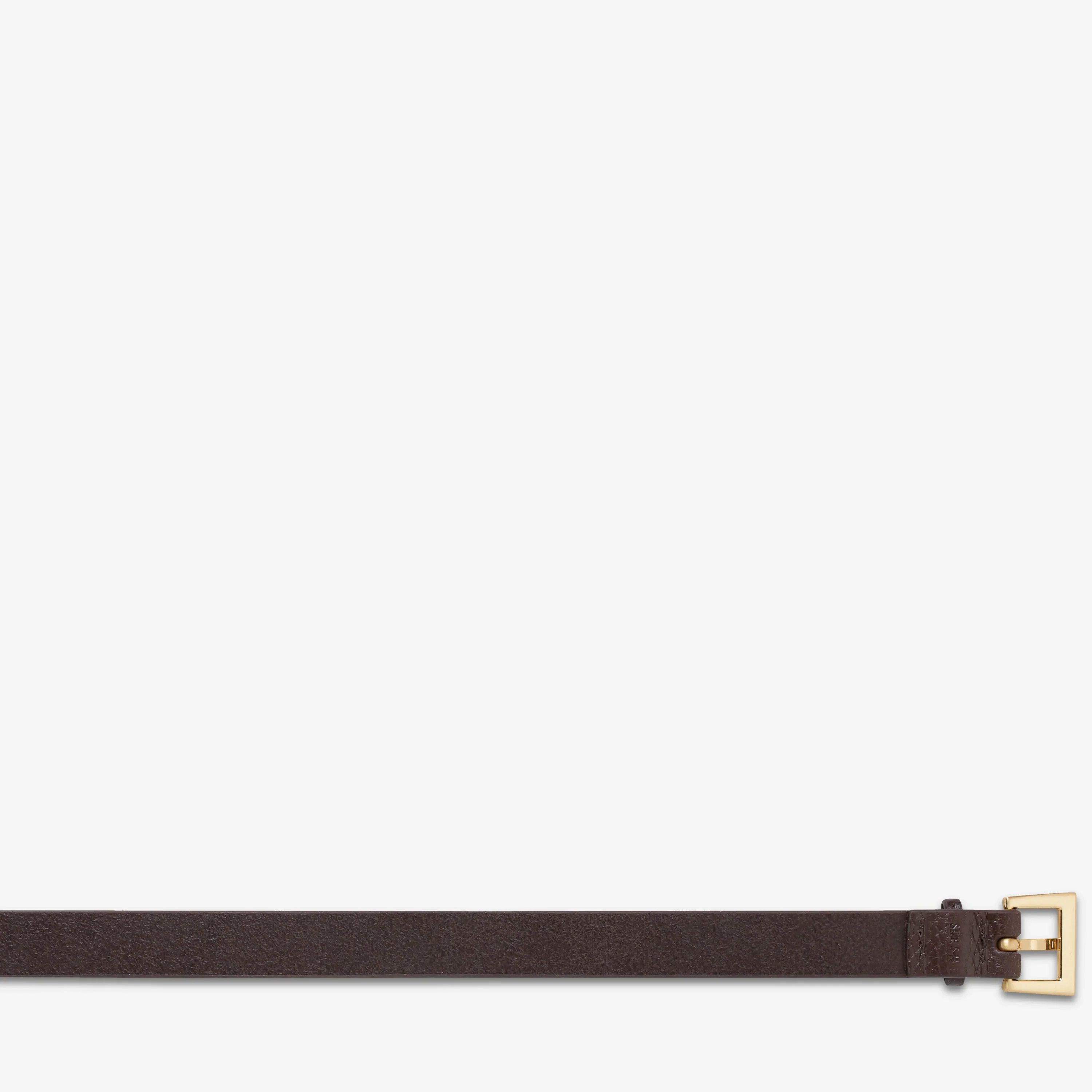 STATUS ANXIETY Womens Part Of Me Leather Belt - Choc/ Gold - Image 7